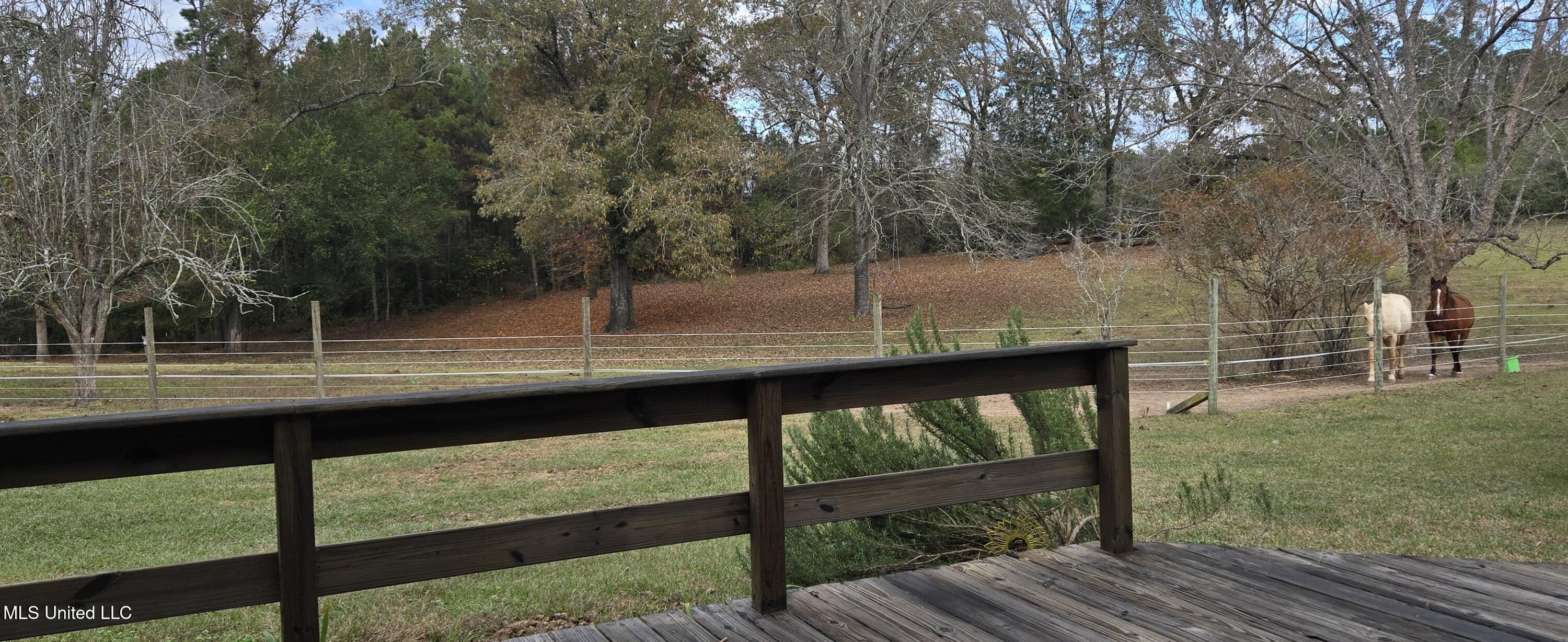 37 Good Hope Road Columbia, MS 39429 - Photo 73 of 127 20251129_134153