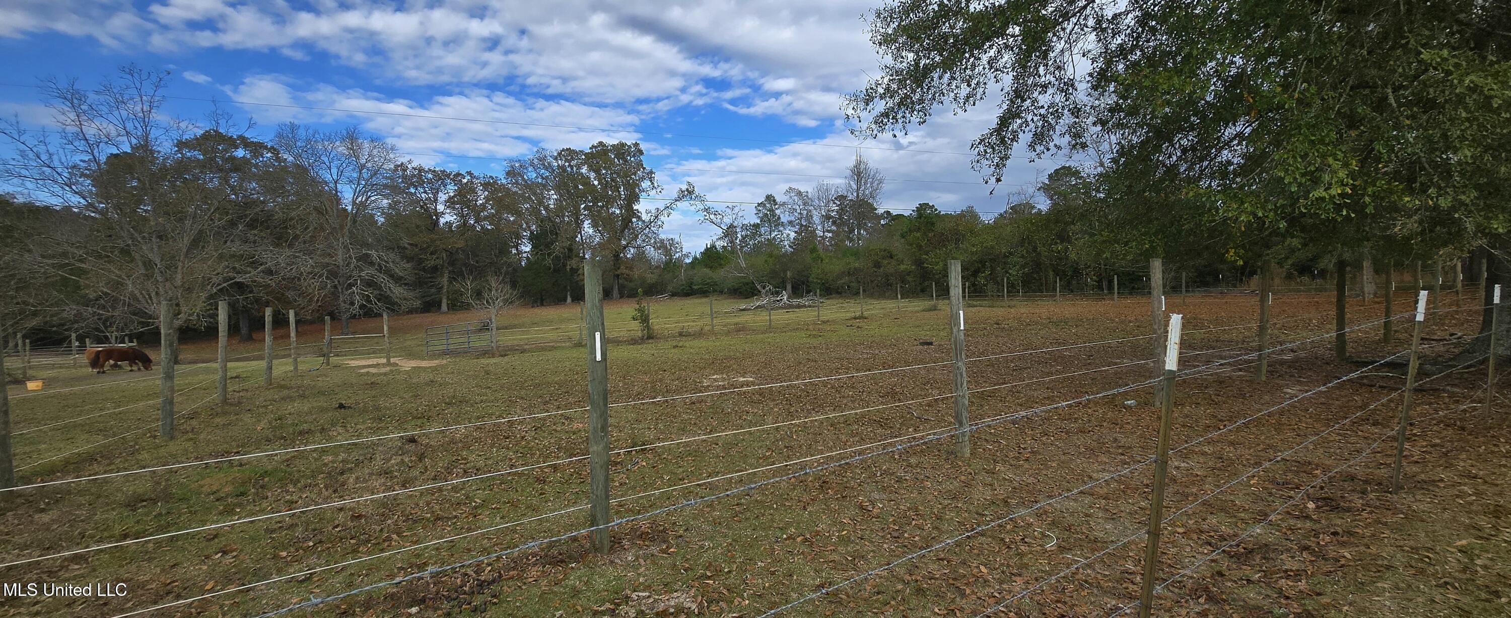 37 Good Hope Road Columbia, MS 39429 - Photo 76 of 86 20251129_132025