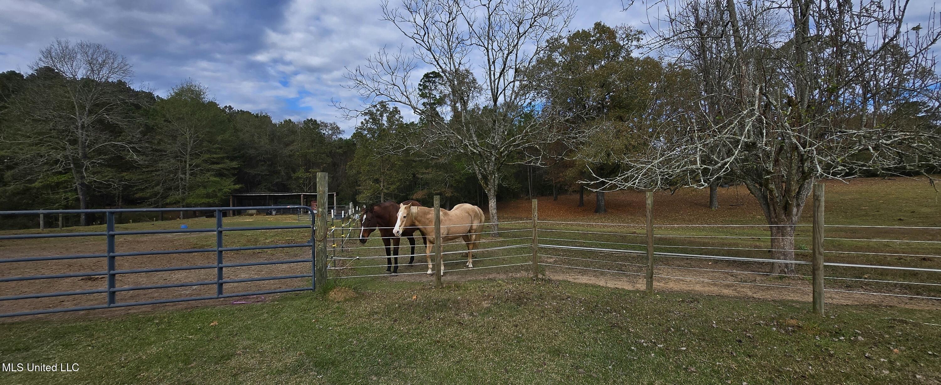 37 Good Hope Road Columbia, MS 39429 - Photo 79 of 86 20251129_133552