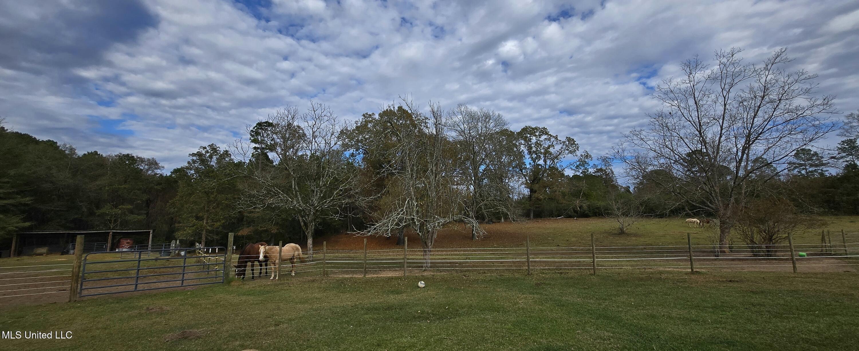 37 Good Hope Road Columbia, MS 39429 - Photo 81 of 86 20251129_133640