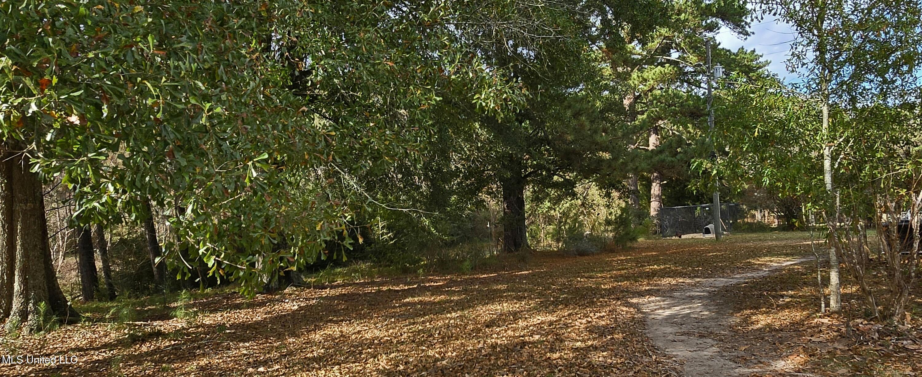 37 Good Hope Road Columbia, MS 39429 - Photo 93 of 127 20251129_132816