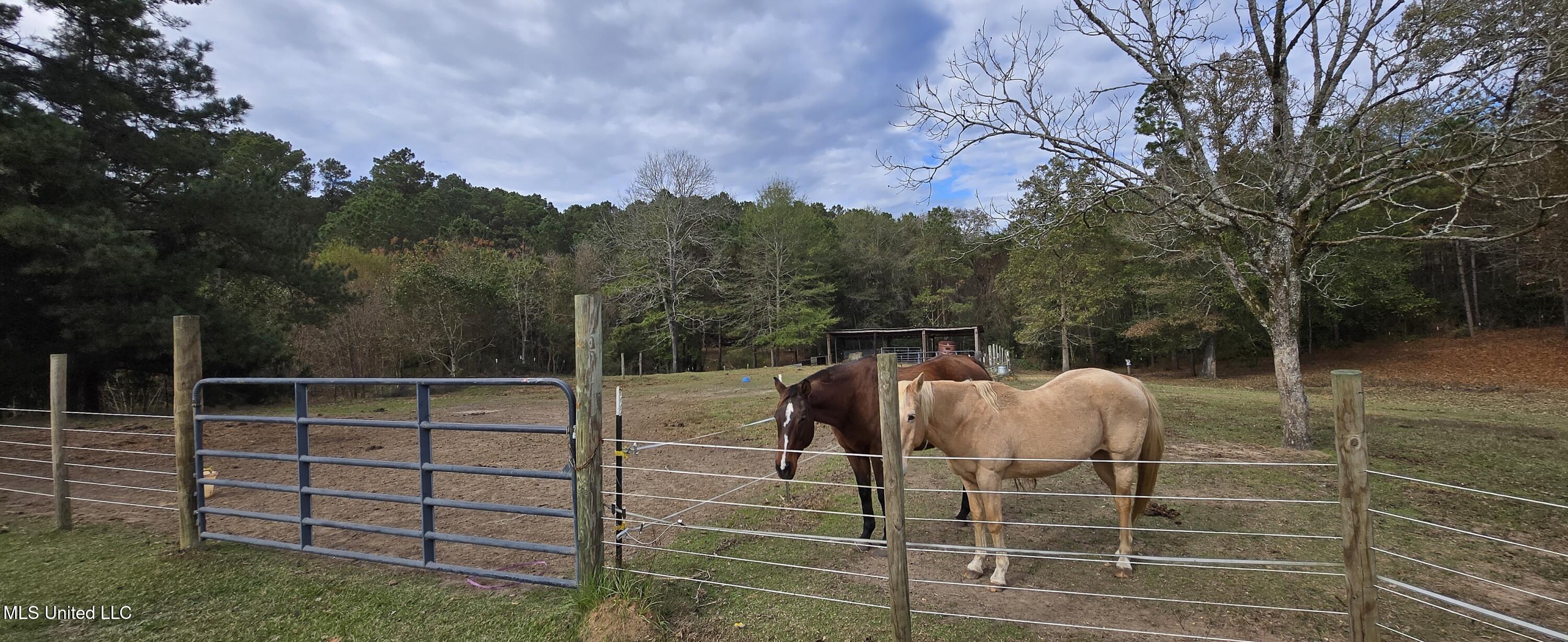 37 Good Hope Road Columbia, MS 39429 - Photo 99 of 127 20251129_133608