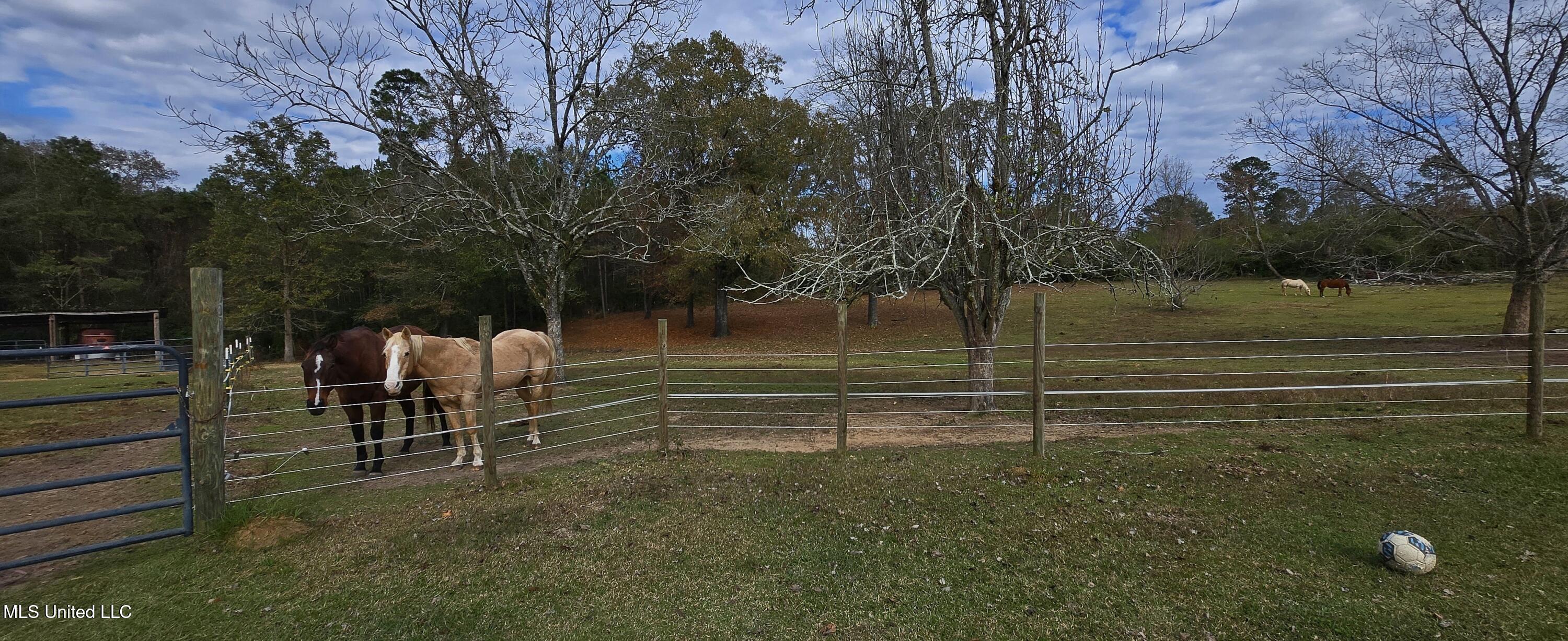 37 Good Hope Road Columbia, MS 39429 - Photo 10 of 127 20251129_133555