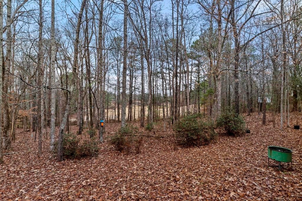 4106 Hamilton Road Opelika, AL 36804 - Photo 31 of 33 Gallery Image 31