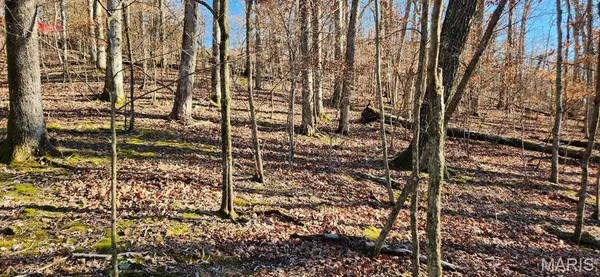 $35,000 | 574 Marina Drive, Marthasville, MO 63357