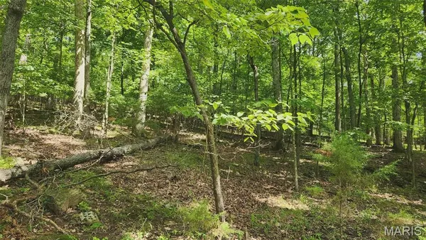 $35,000 | 574 Marina Drive, Marthasville, MO 63357