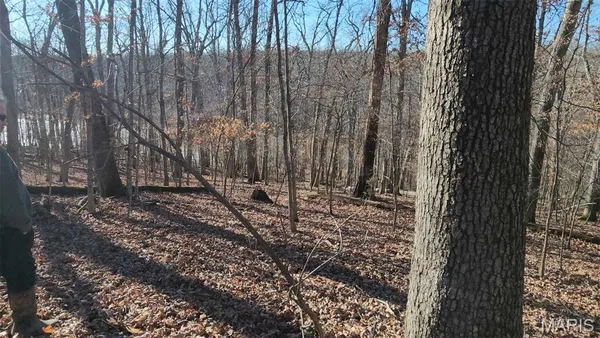 $35,000 | 574 Marina Drive, Marthasville, MO 63357