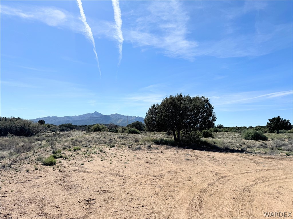 1575 South Roy Road Kingman, AZ 86401 - Photo 46 of 56 Expansive land featuring a desert landscape with scattered shrubs and trees, offering distant mountain views under a clear blue sky