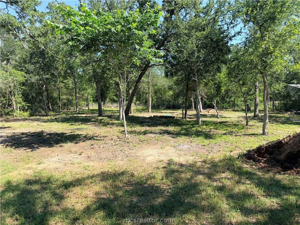 281 Redberry Road Somerville, TX 77879 - Photo 9 of 15