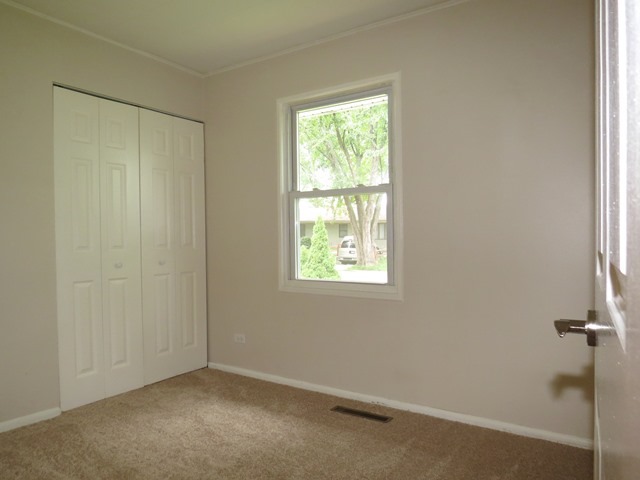 1005 Larkdale Row Wauconda, IL 60084 - Photo 12 of 24