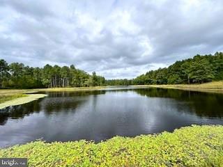22329 Old Stage Road Milford, VA 22514 - Photo 17 of 20 20-Acres Lake