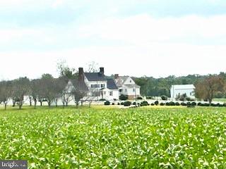 22329 Old Stage Road Milford, VA 22514 - Photo 4 of 20 Street View