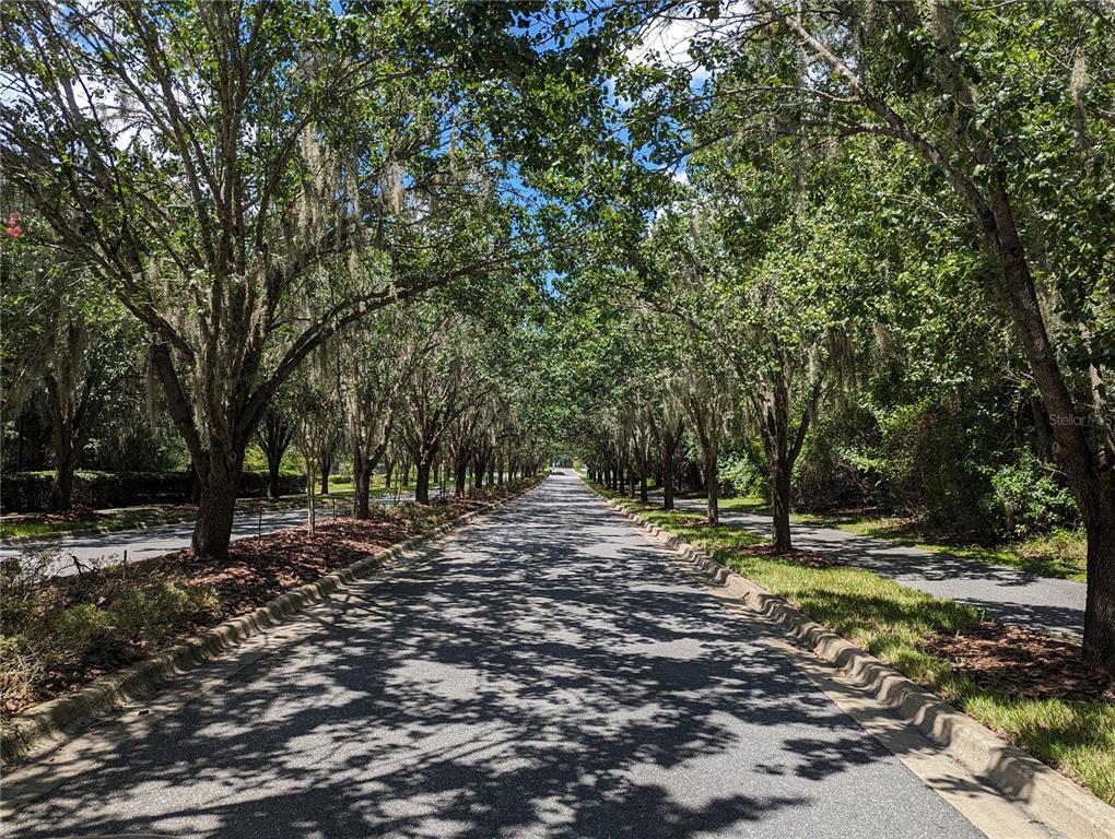 8608 Southwest 77th Avenue Gainesville, FL 32608 - Photo 30 of 40