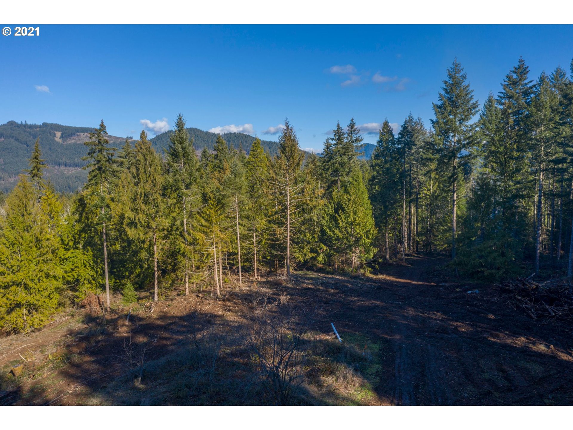 0 Minnow Creek Road Lowell, OR 97452 - Photo 1 of 27 a view of a yard