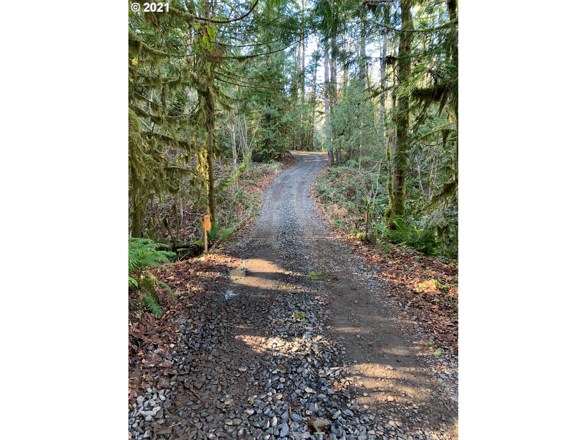 0 Minnow Creek Road Lowell, OR 97452 - Photo 11 of 27 a backyard of a house with lots of green space