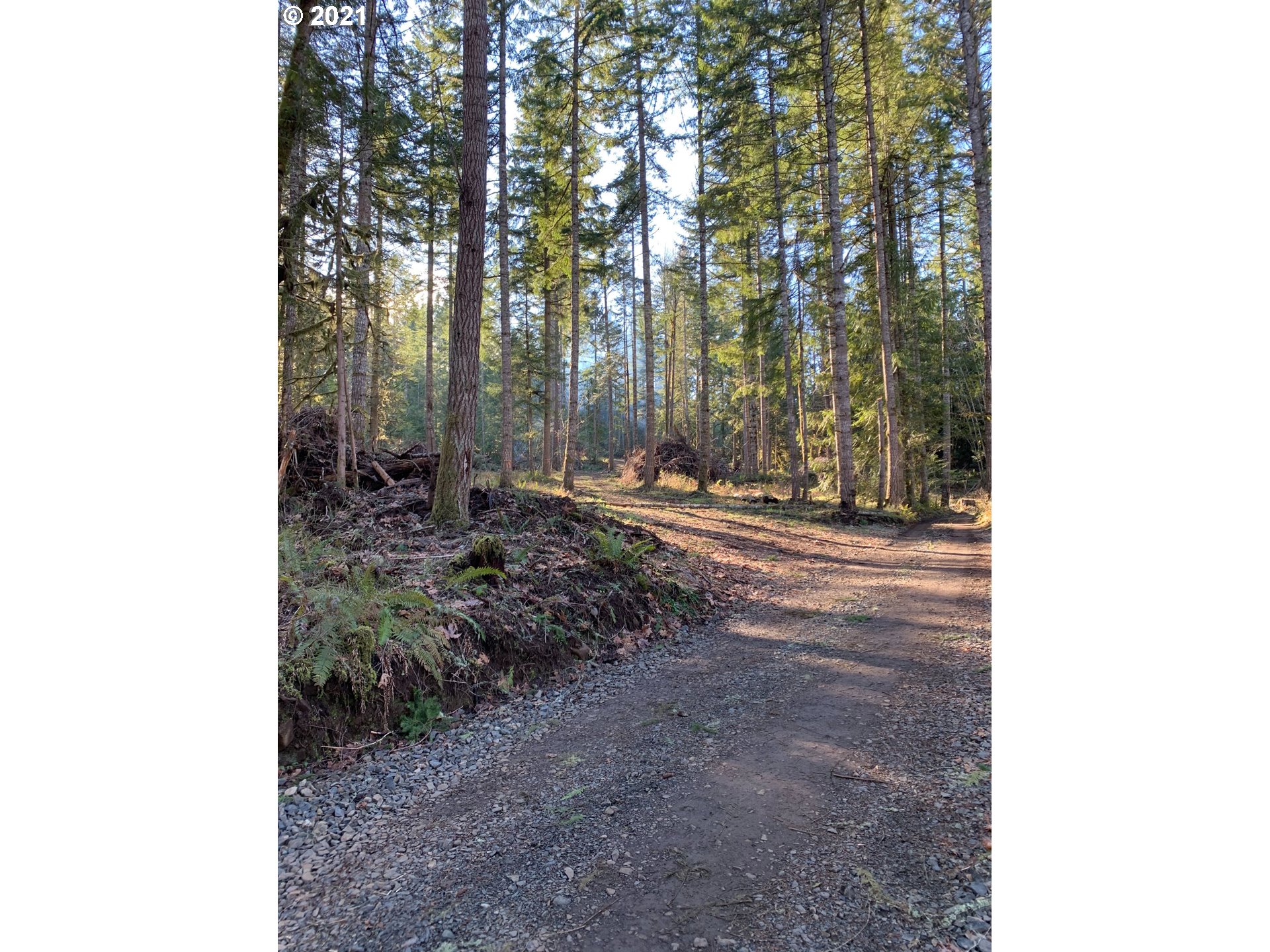 0 Minnow Creek Road Lowell, OR 97452 - Photo 12 of 27 a view of backyard with green space