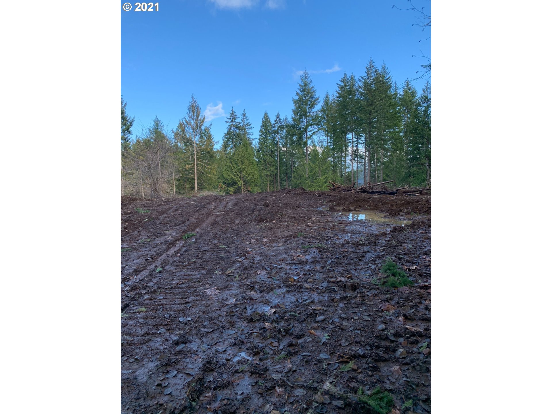 0 Minnow Creek Road Lowell, OR 97452 - Photo 16 of 27 a view of a yard with plants and trees