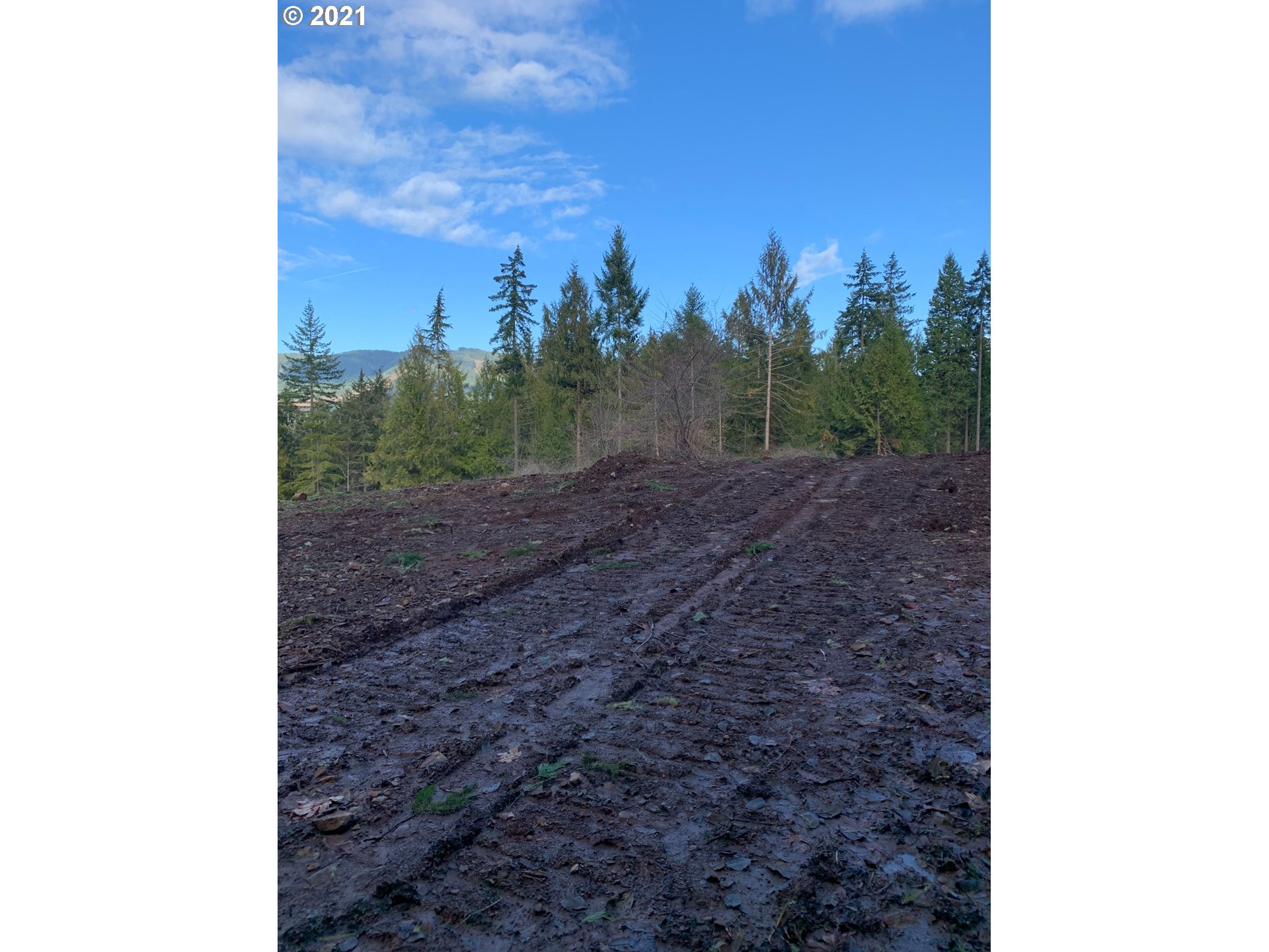 0 Minnow Creek Road Lowell, OR 97452 - Photo 17 of 27 a view of a yard