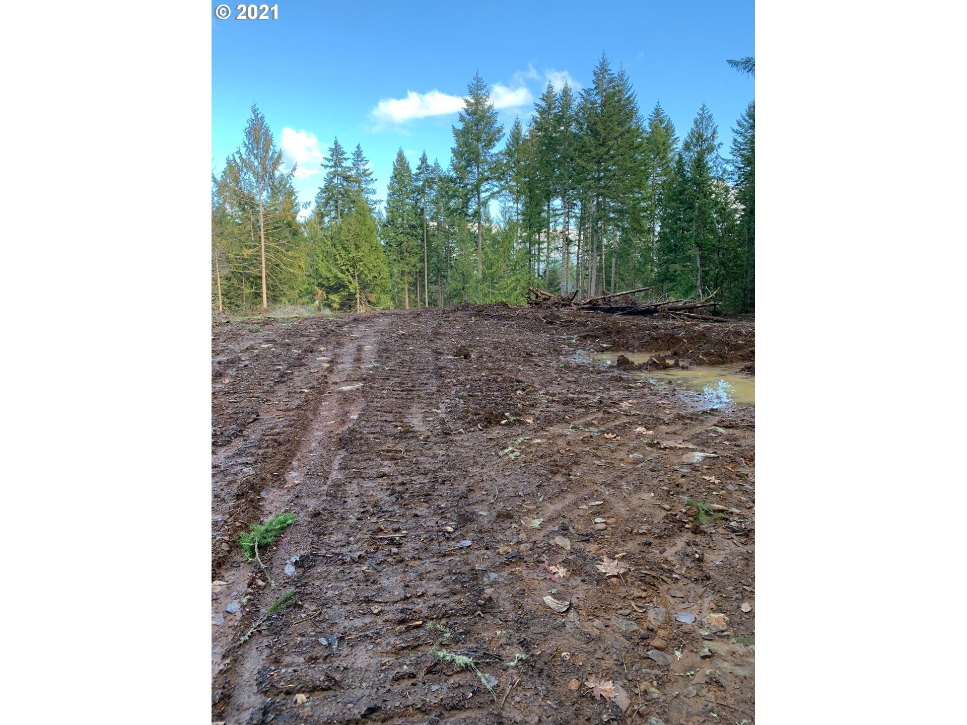 0 Minnow Creek Road Lowell, OR 97452 - Photo 18 of 27 a view of a yard with a tree