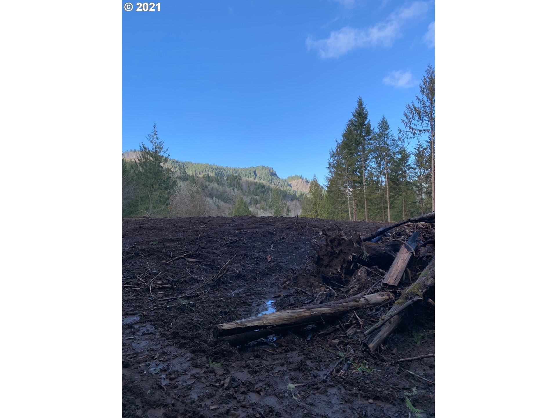 0 Minnow Creek Road Lowell, OR 97452 - Photo 19 of 27 a view of a yard