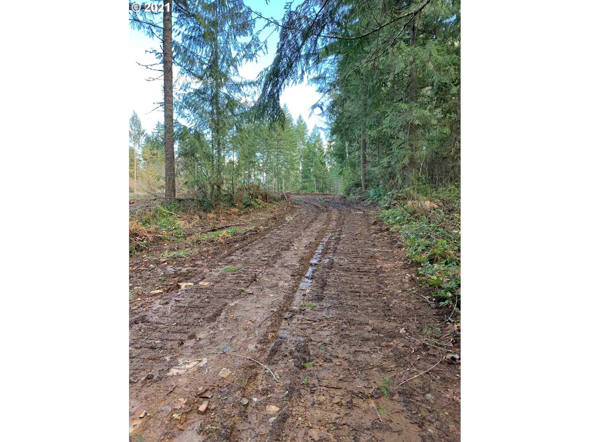 0 Minnow Creek Road Lowell, OR 97452 - Photo 20 of 27 a view of a yard with plants and trees