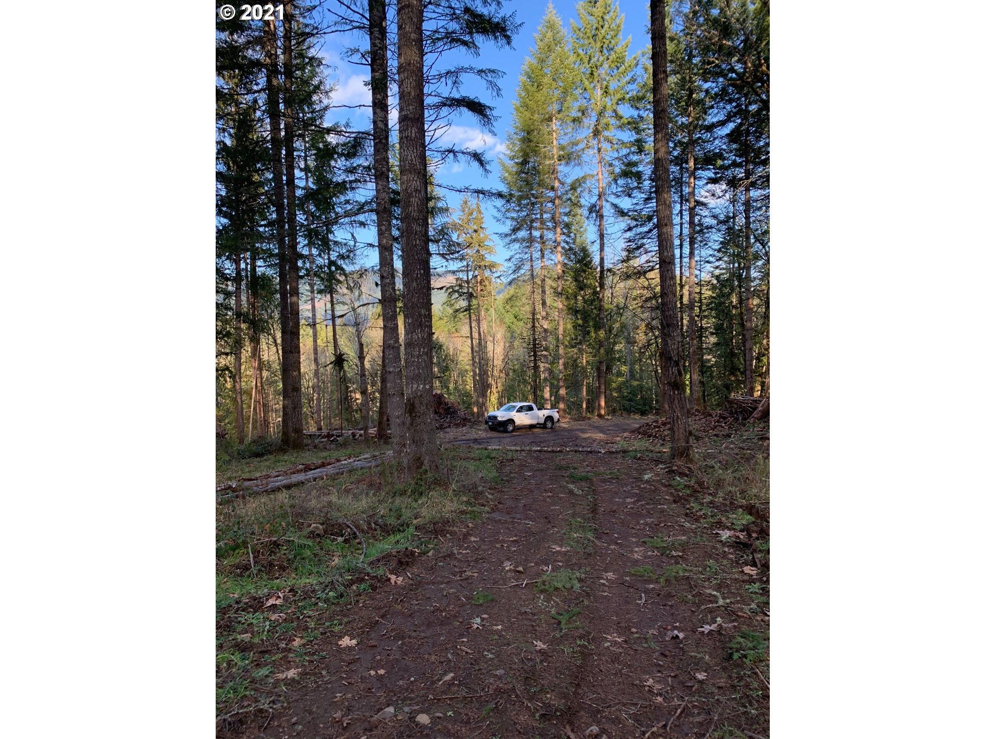 0 Minnow Creek Road Lowell, OR 97452 - Photo 25 of 27 a view of a yard with plants and trees