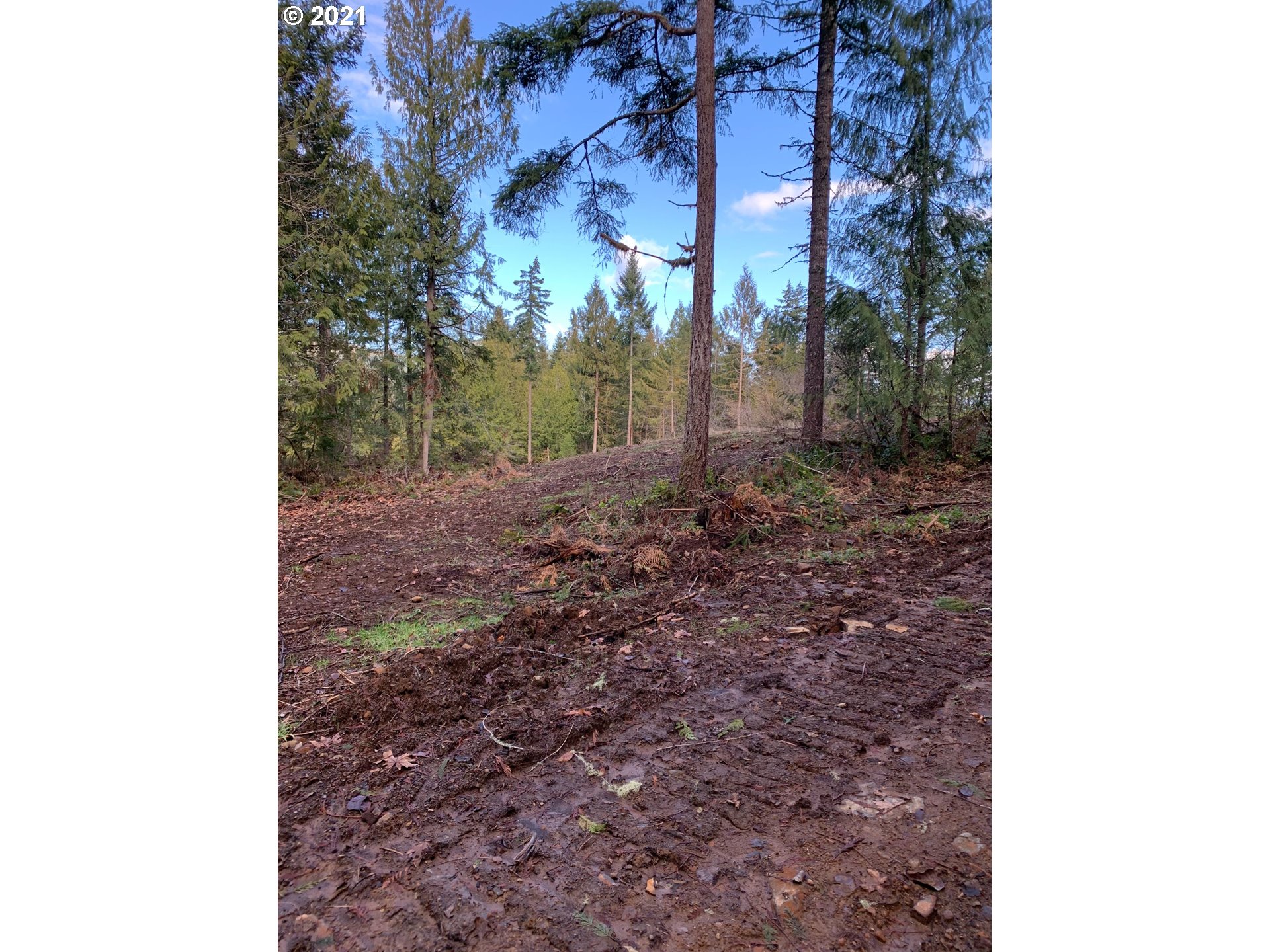 0 Minnow Creek Road Lowell, OR 97452 - Photo 26 of 27 a view of a yard with plants and trees