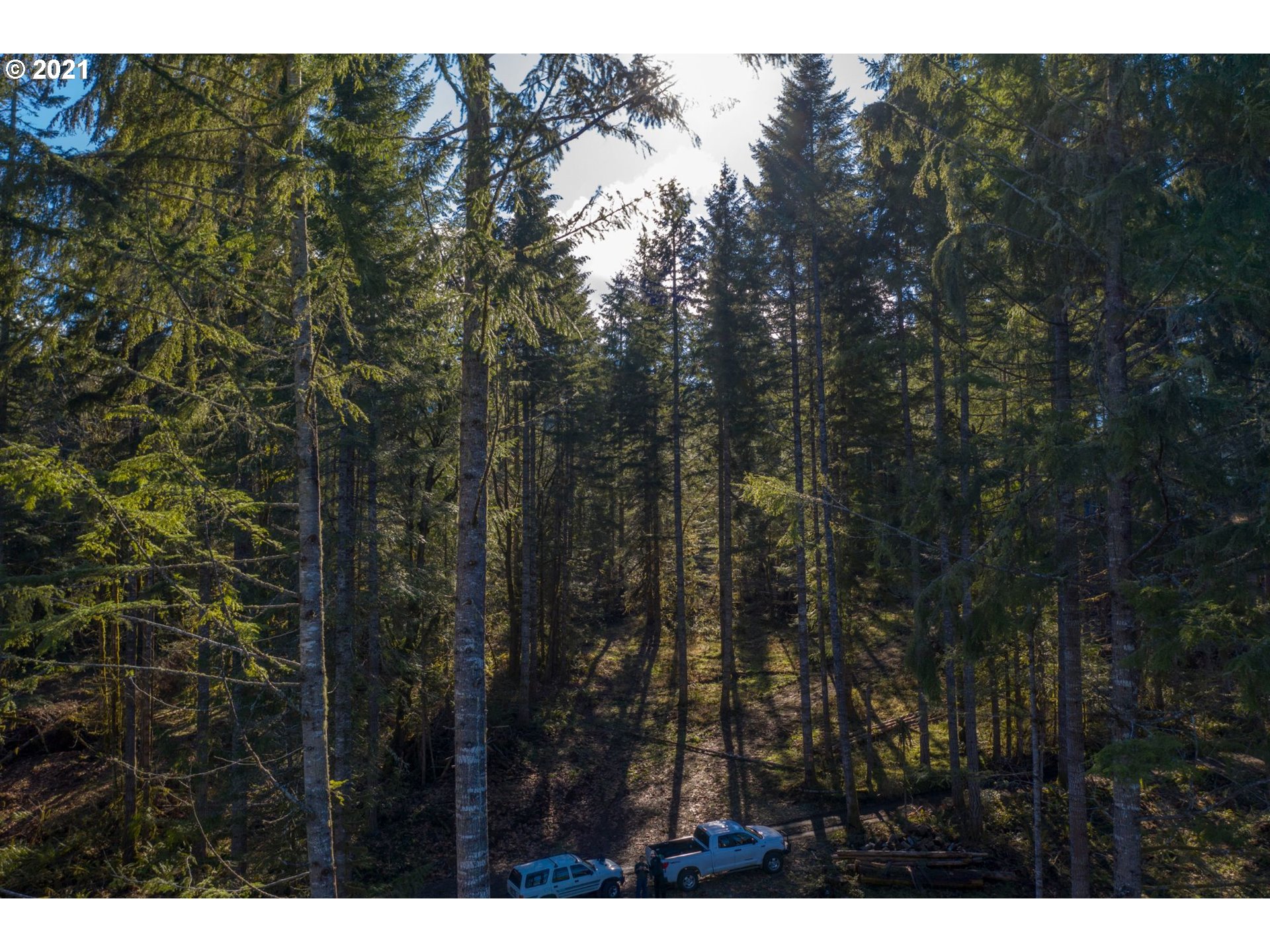 0 Minnow Creek Road Lowell, OR 97452 - Photo 27 of 27 a view of outdoor space and garden