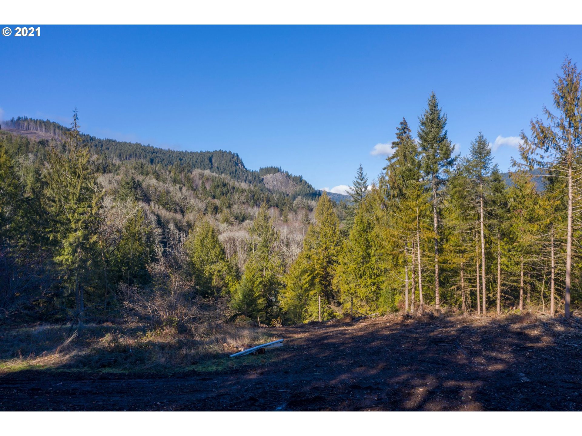 0 Minnow Creek Road Lowell, OR 97452 - Photo 4 of 27 a view of a yard
