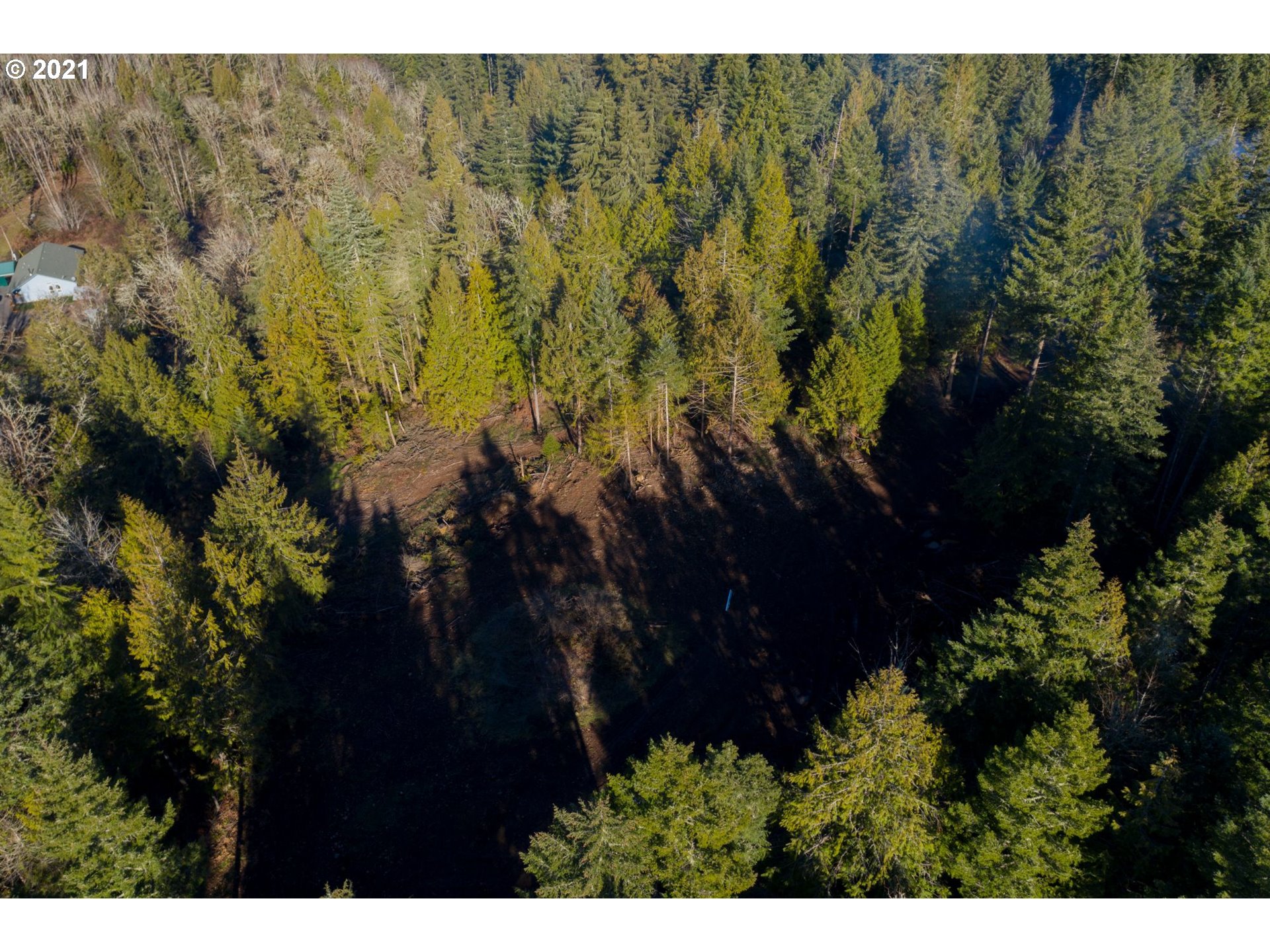 0 Minnow Creek Road Lowell, OR 97452 - Photo 5 of 27 a view of outdoor space and covered with trees