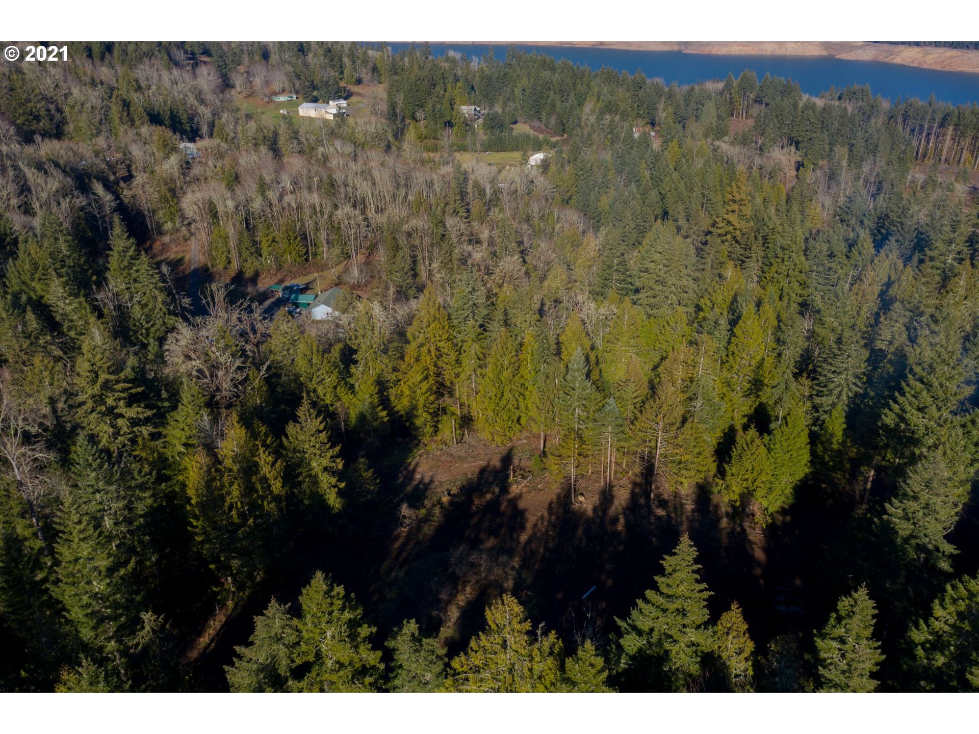 0 Minnow Creek Road Lowell, OR 97452 - Photo 6 of 27 a view of a bunch of trees
