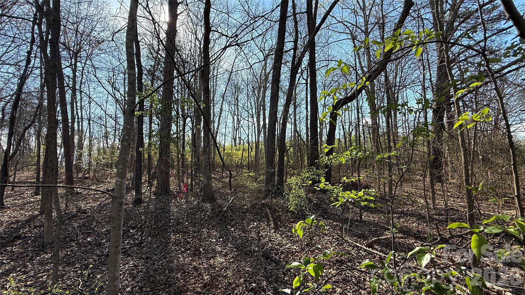 1361 Zeb Haynes Road, Unit 3 Maiden, NC 28650 - Photo 3 of 7