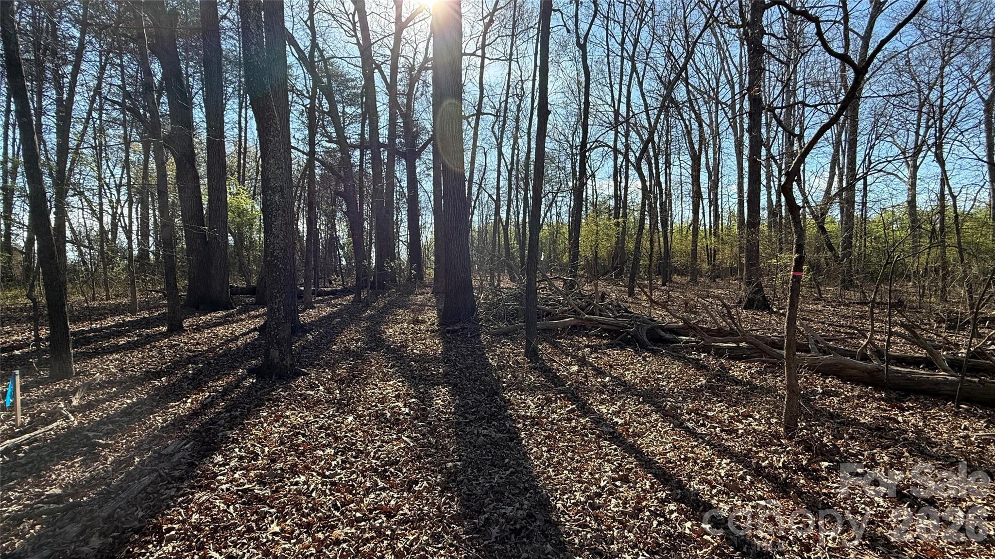 1361 Zeb Haynes Road, Unit 3 Maiden, NC 28650 - Photo 4 of 7