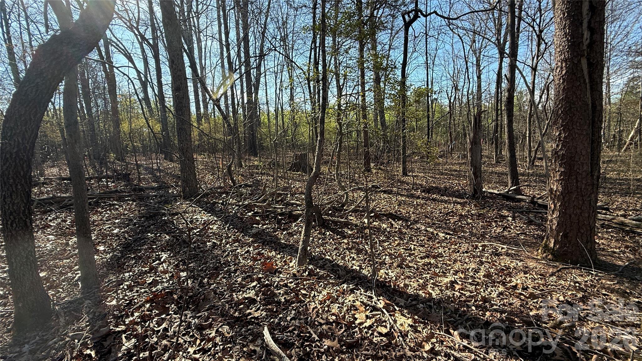 1361 Zeb Haynes Road, Unit 3 Maiden, NC 28650 - Photo 5 of 7