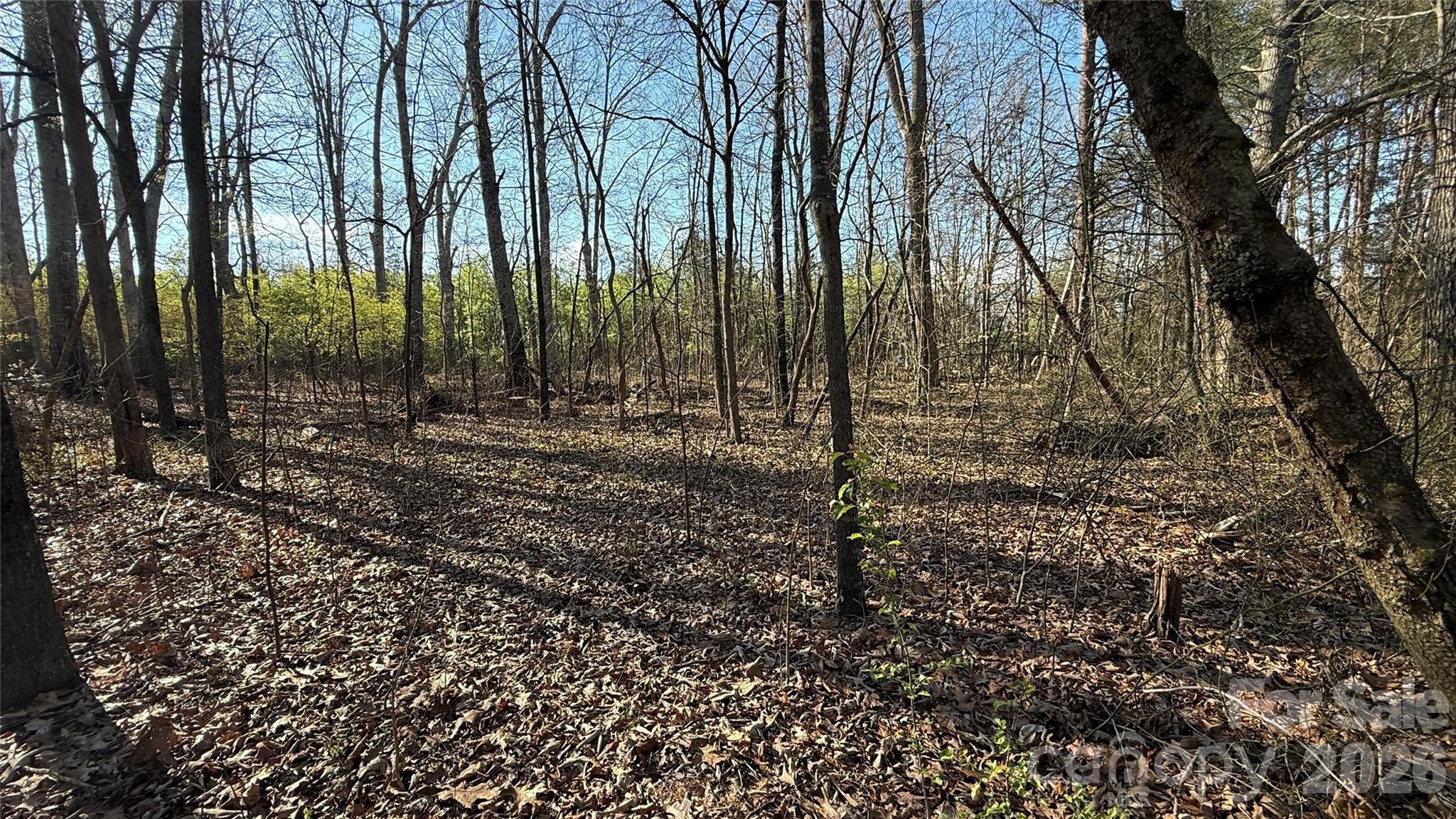 1361 Zeb Haynes Road, Unit 3 Maiden, NC 28650 - Photo 6 of 7