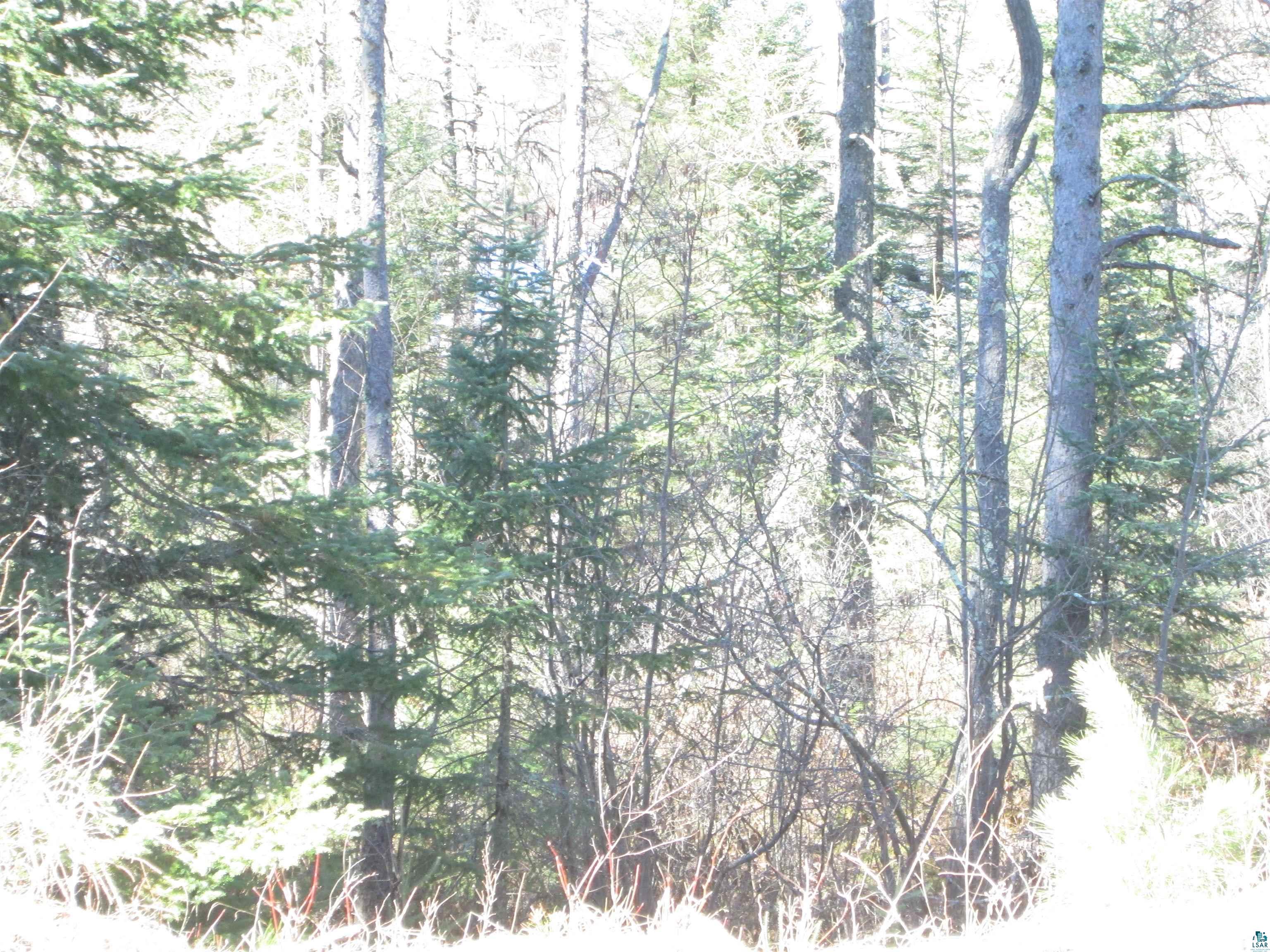 Lot 2-40 Acres County Road South Range, WI 54874 - Photo 23 of 39 Gallery Image 23