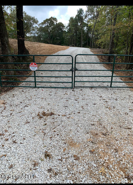 827 Boswell Road Holly Springs, MS 38635 - Photo 1 of 3 Entrance
