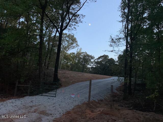 827 Boswell Road Holly Springs, MS 38635 - Photo 2 of 3 PIC 2