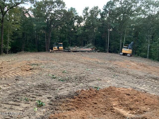 827 Boswell Road Holly Springs, MS 38635 - Photo 3 of 3 PIC 3