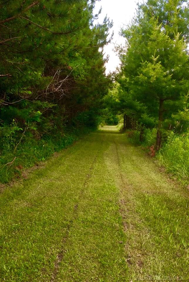 5445 Myron Road Jeddo, MI 48032 - Photo 43 of 49 Hiking & Wildlife!