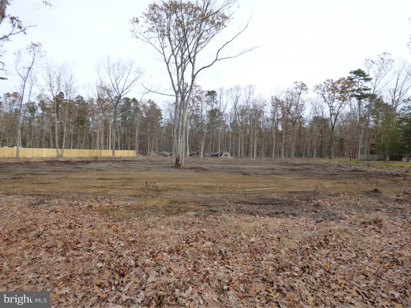 343 Atsion Road Vincentown, NJ 08088 - Photo 2 of 5 Gallery Image 2