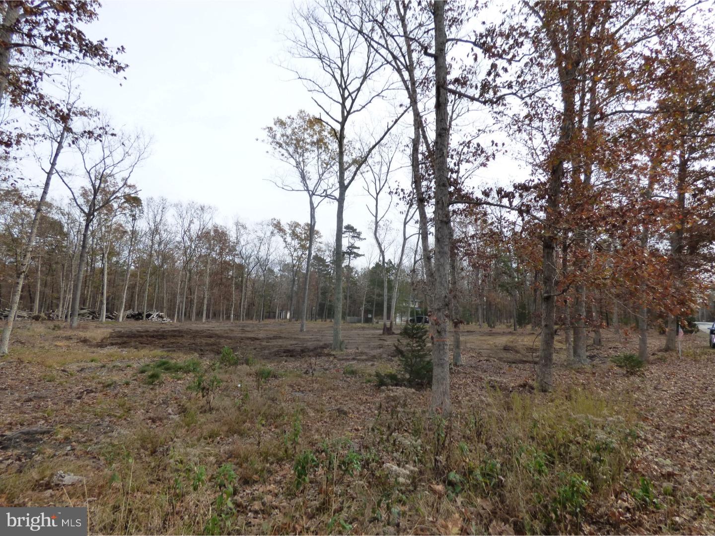 343 Atsion Road Vincentown, NJ 08088 - Photo 3 of 5 Gallery Image 3