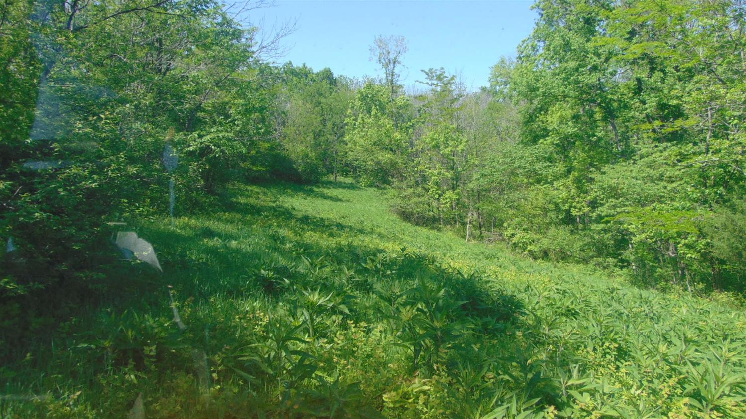 0 Tanner Road Lawrenceburg, KY 40342 - Photo 7 of 7 Photo 7