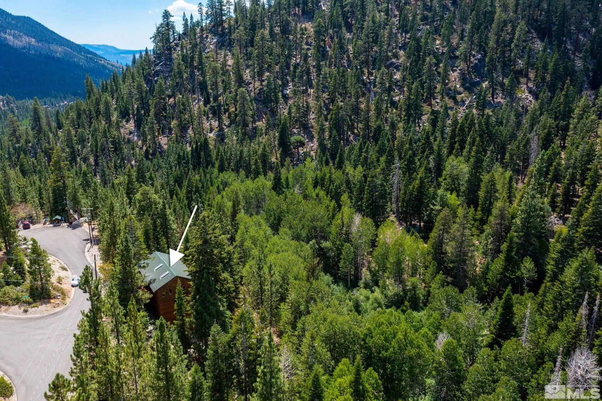 310 Barton Drive Stateline, NV 89449 - Photo 36 of 36 a view of a forest with a tree