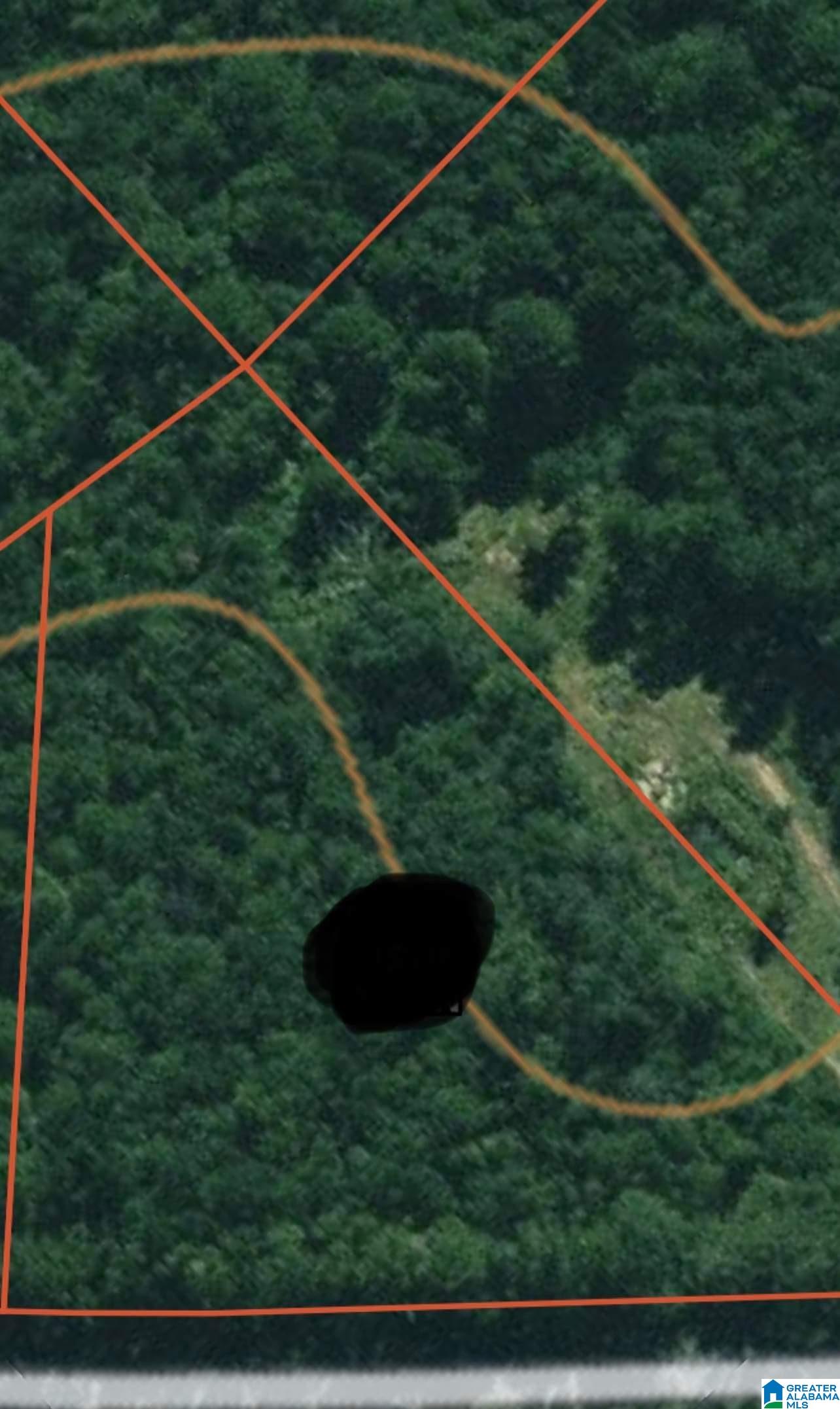 0 County Road 9 Clanton, AL 35045 - Photo 1 of 1