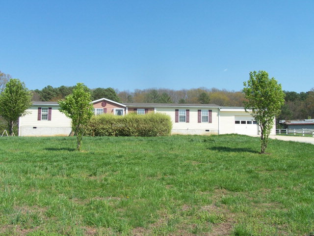 Main View