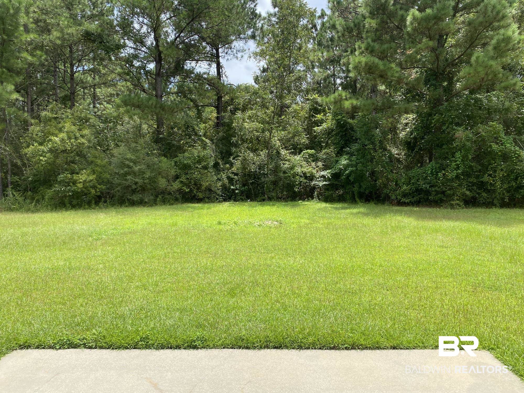 12875 Pearson Lane Wilmer, AL 36587 - Photo 14 of 14