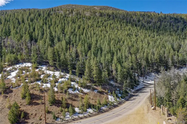 a view of a bunch of trees