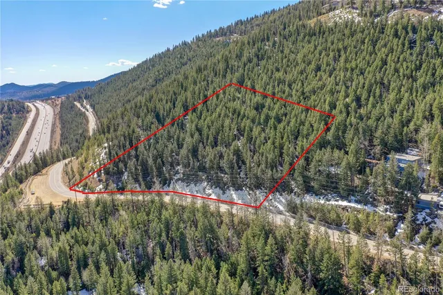 a view of a tree in a park