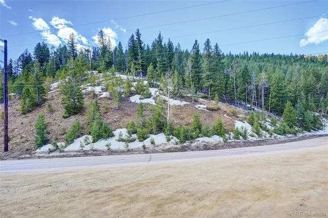 a view of a street with a yard and a wooden fence